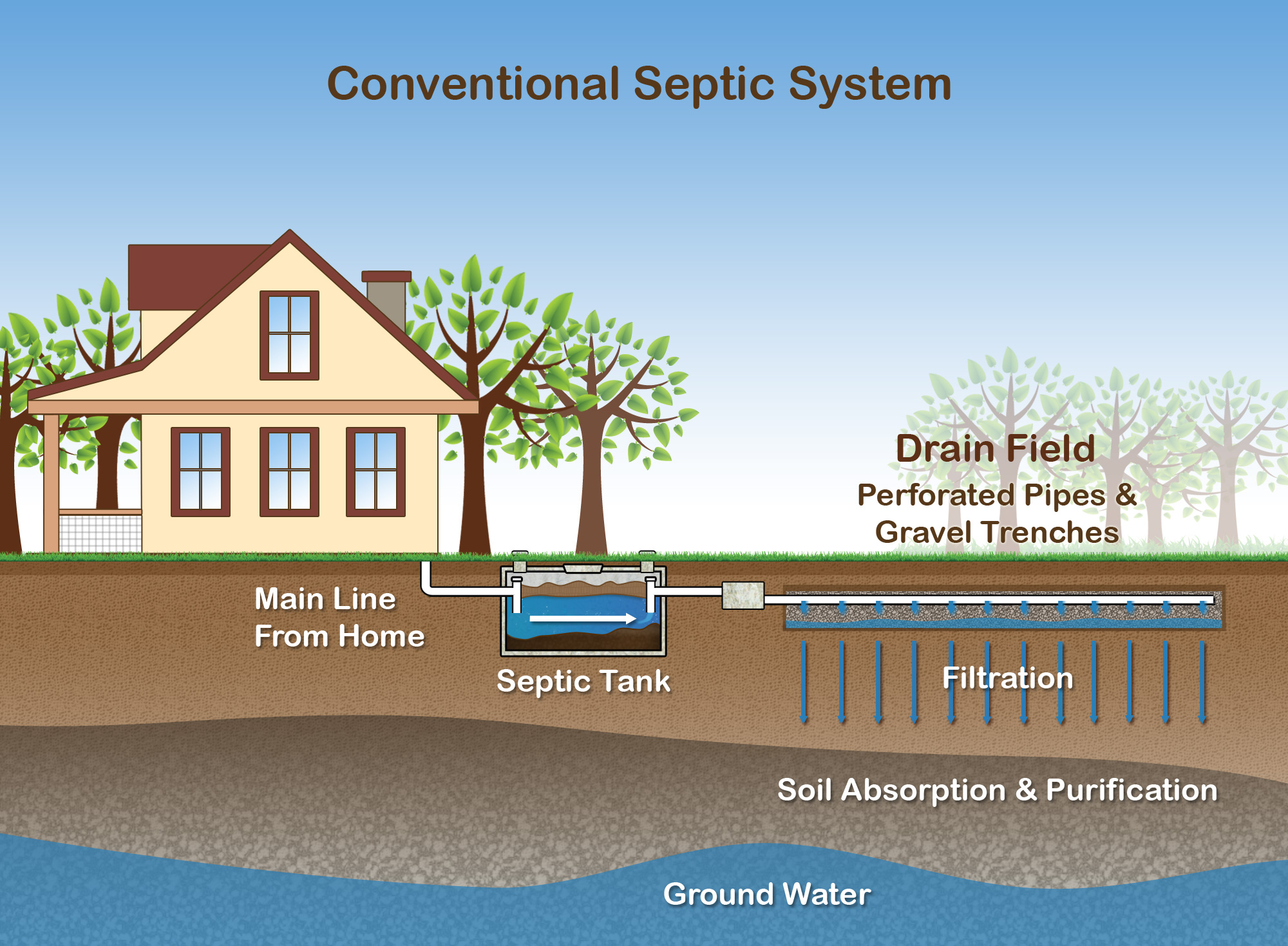 Septic Design & Planning